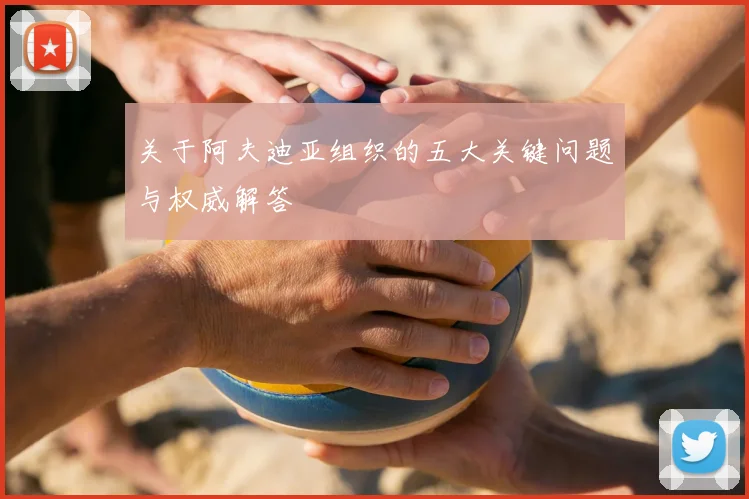 关于阿夫迪亚组织的五大关键问题与权威解答
