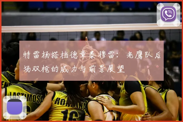 特雷杨搭档德章泰穆雷:老鹰队后场双枪的威力与前景展望