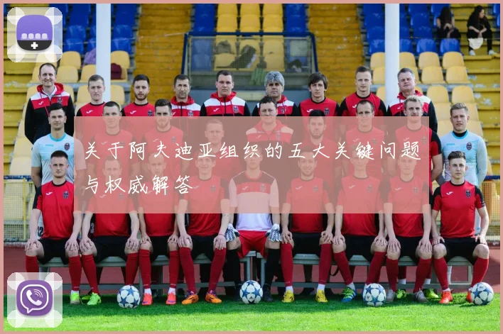 关于阿夫迪亚组织的五大关键问题与权威解答